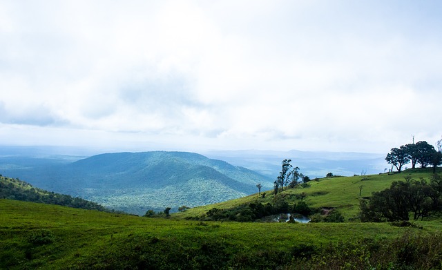 斯基拉：一家沙特俱乐部准备报价吉拉西，年薪约2000万欧