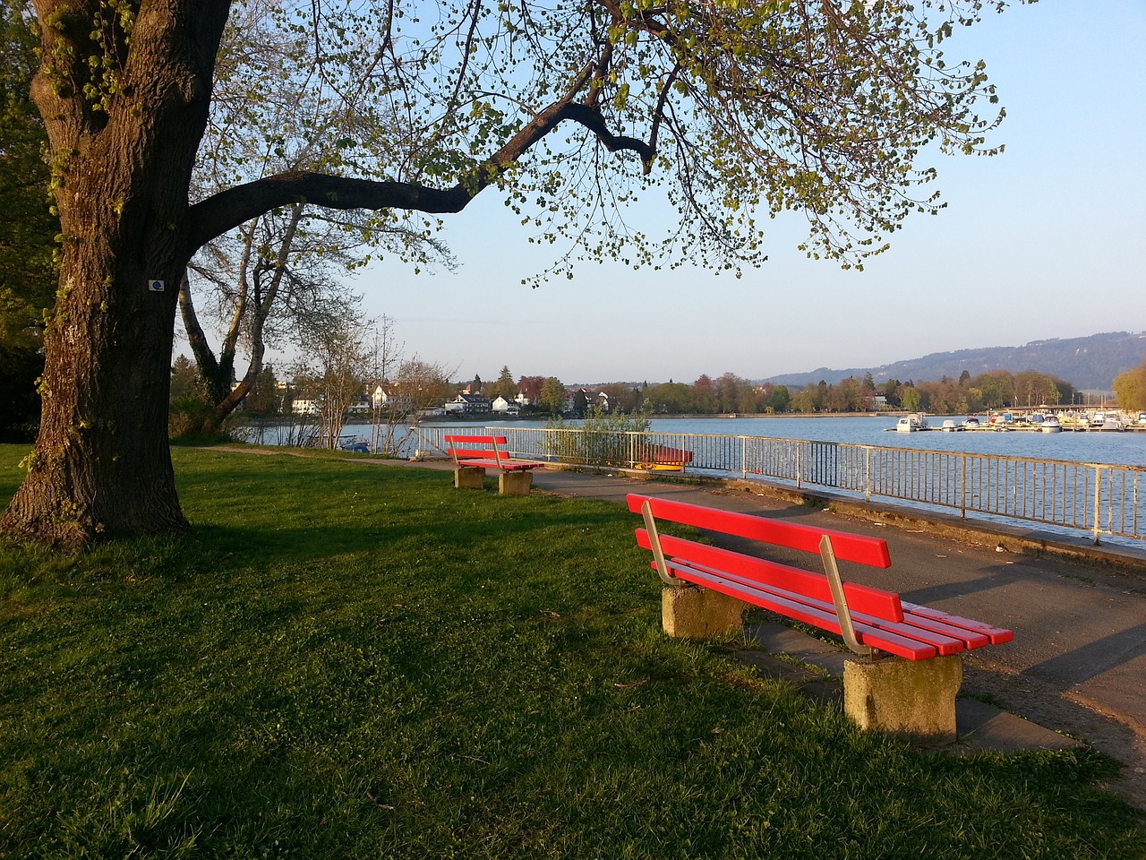 杨瀚森2分1篮板1助攻1盖帽，本赛季第二次没有失误和犯规