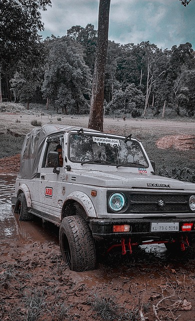 法国队11月大名单：姆巴佩领衔，坎特、谢尔基在列