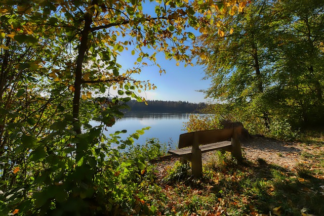 莫利纳：西蒙尼一直鼓励我，要我相信自己