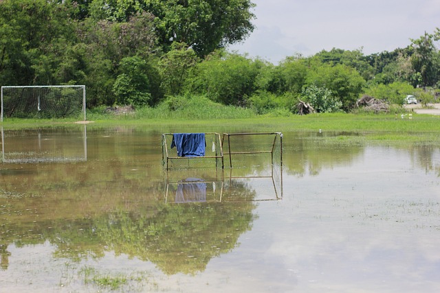 图片报：拜仁正在考察桑托斯19岁的巴西左后卫索萨